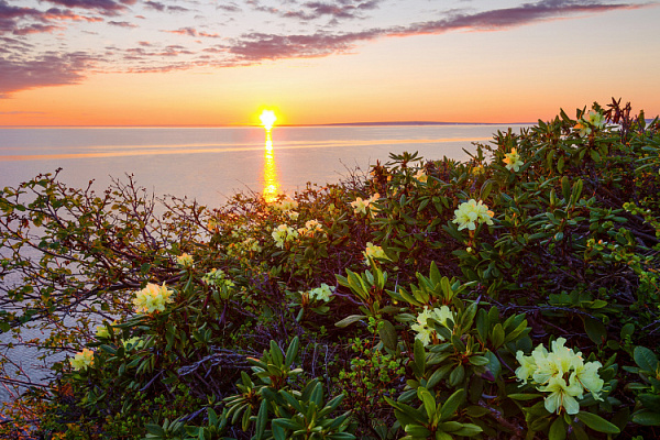 А ПО РЕЧКЕ ШЛА ВЕСНА! ИЗ ЕКАТЕРИНБУРГА